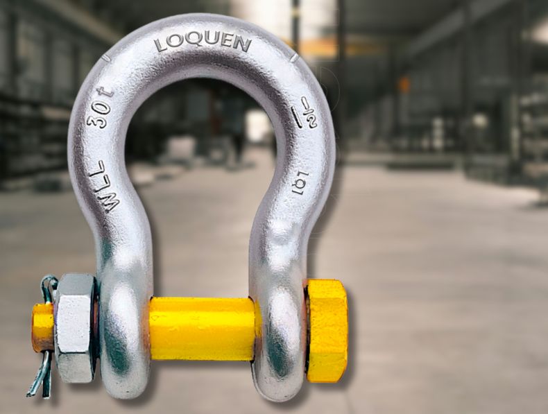 Loquen Products